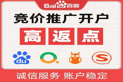 SEM竞价实战：成功案例解析